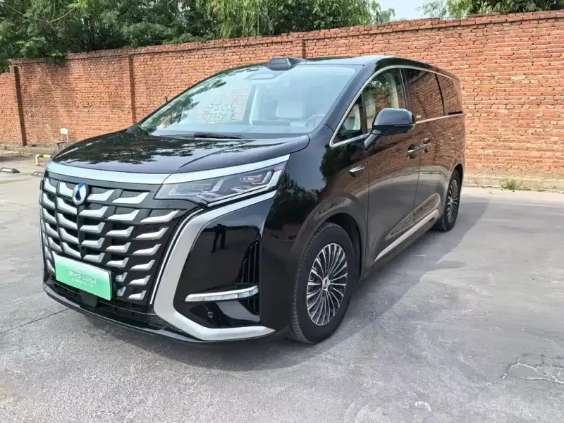 Denza D9, 2025