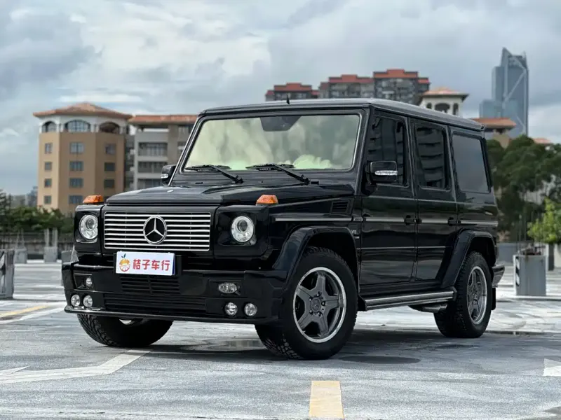 Mercedes-Benz G-Class, 2007 — фото 1