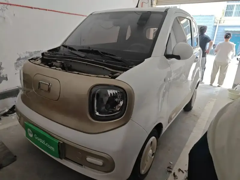 Bestune Pony, 2024