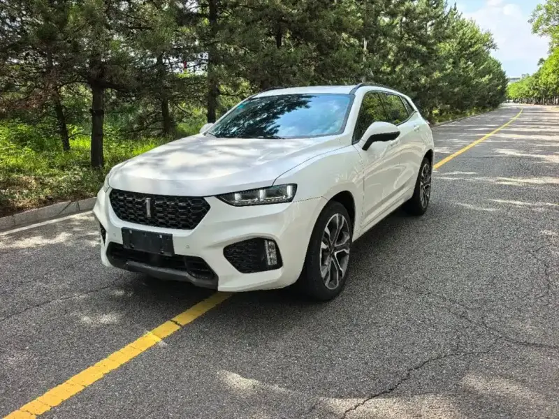 Wey VV7, 2018