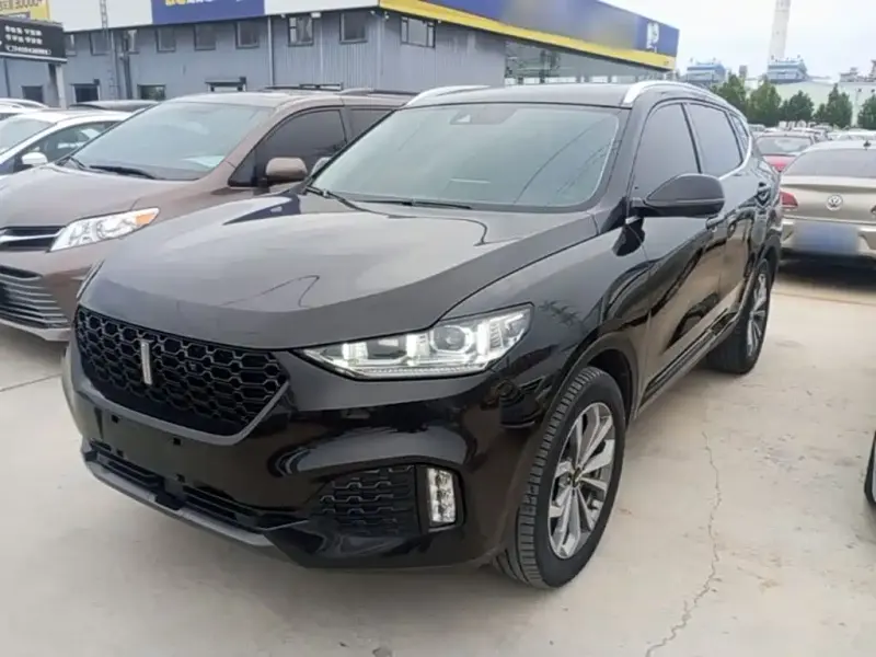 Wey VV6, 2019