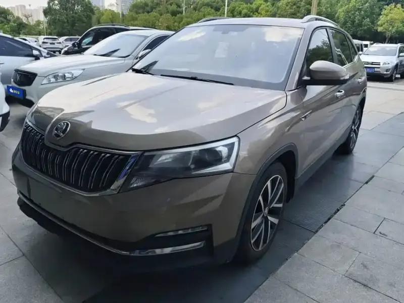 Skoda Kamiq, 2020 — фото 1