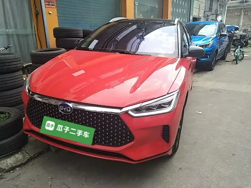 BYD e2, 2021