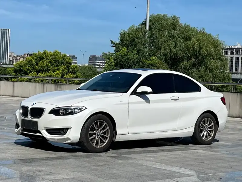 BMW 2 Series (Import), 2016