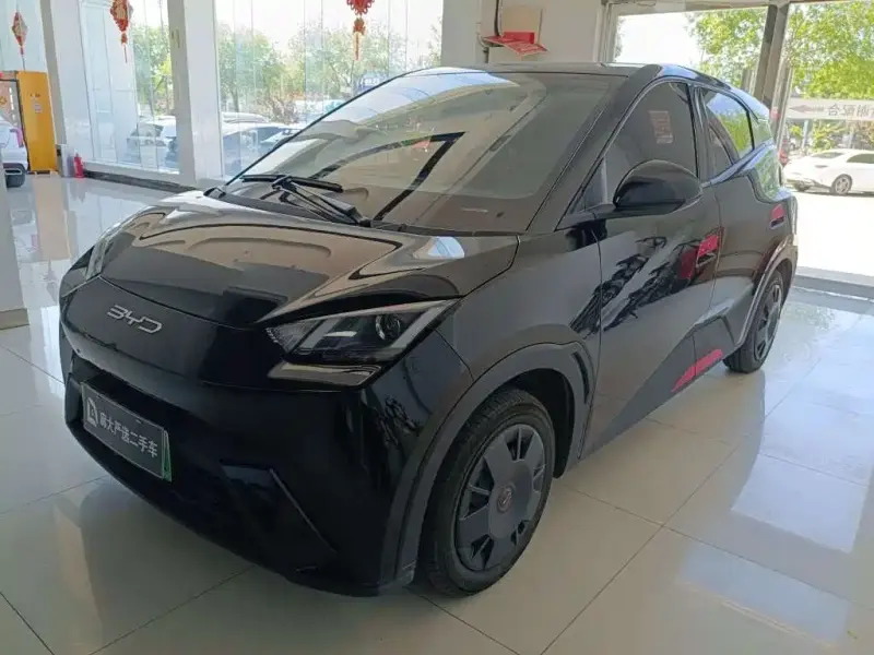 BYD Seagull, 2024