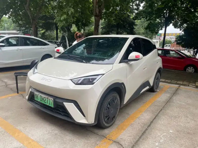 BYD Seagull, 2024
