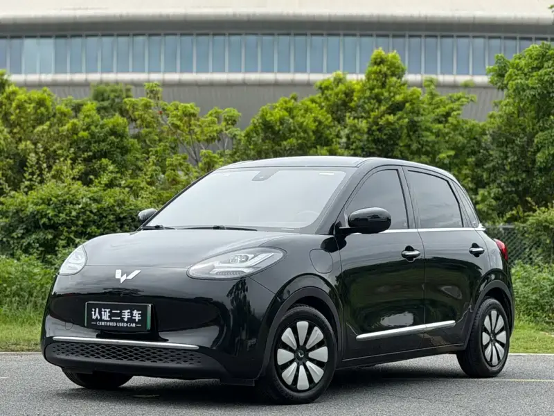 Wuling Bingo, 2023