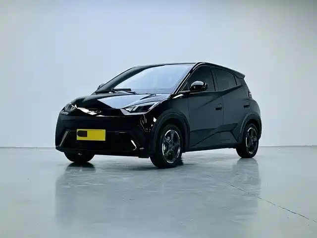 BYD Seagull, 2024