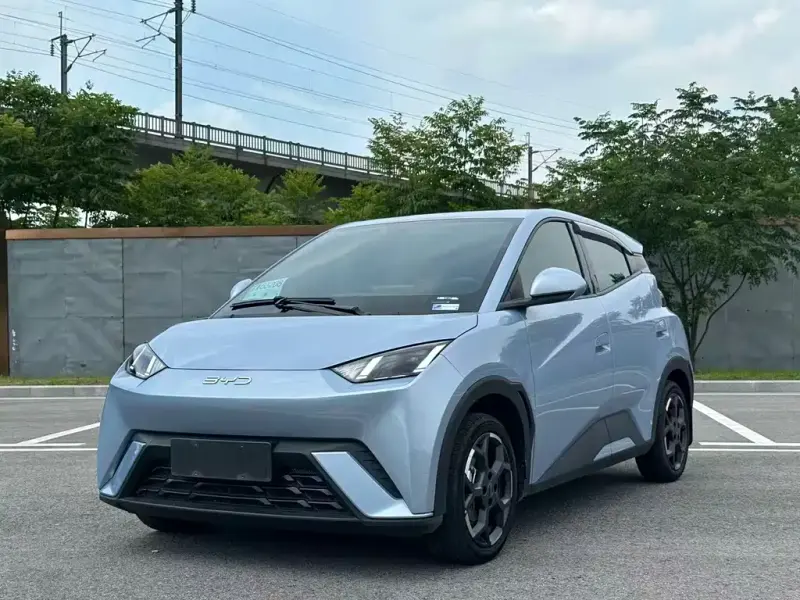 BYD Seagull, 2024
