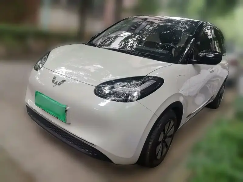 Wuling Bingo, 2024
