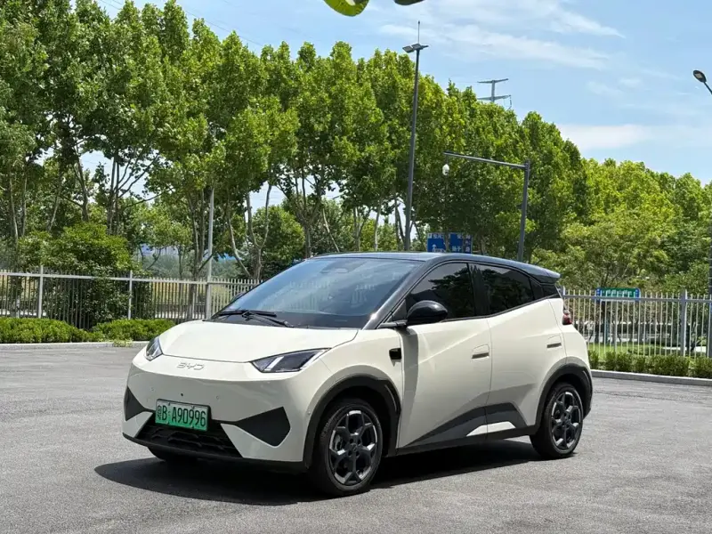 BYD Seagull, 2025