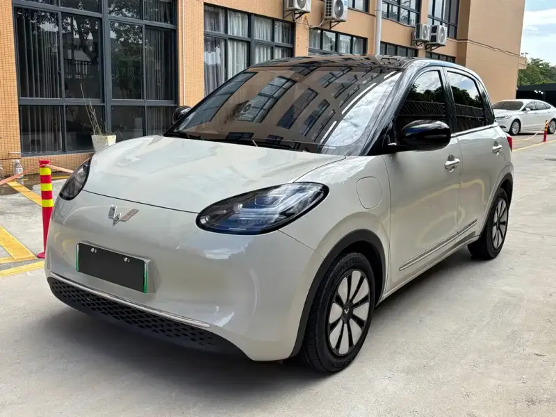 Wuling Bingo, 2024