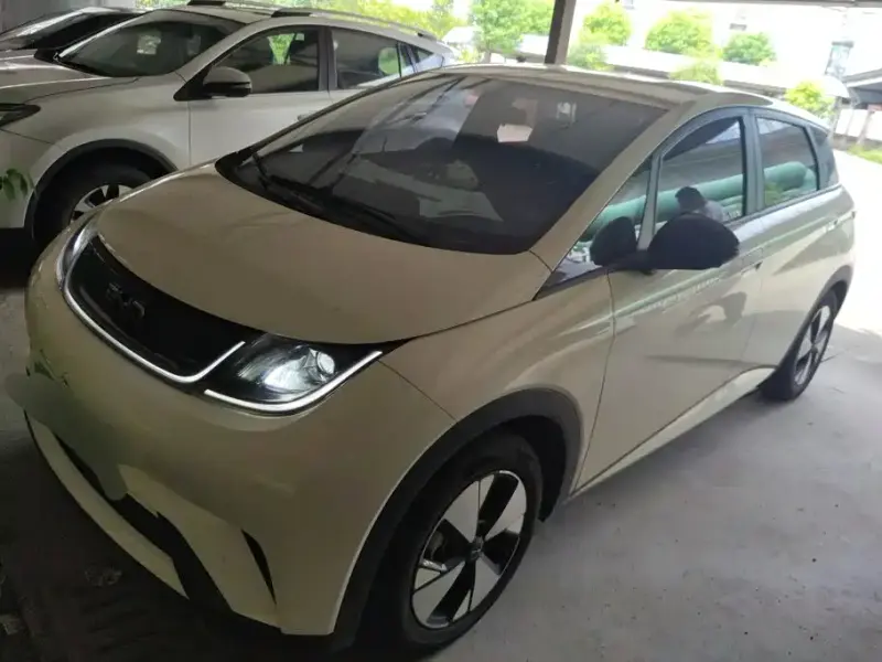 BYD Dolphin, 2023