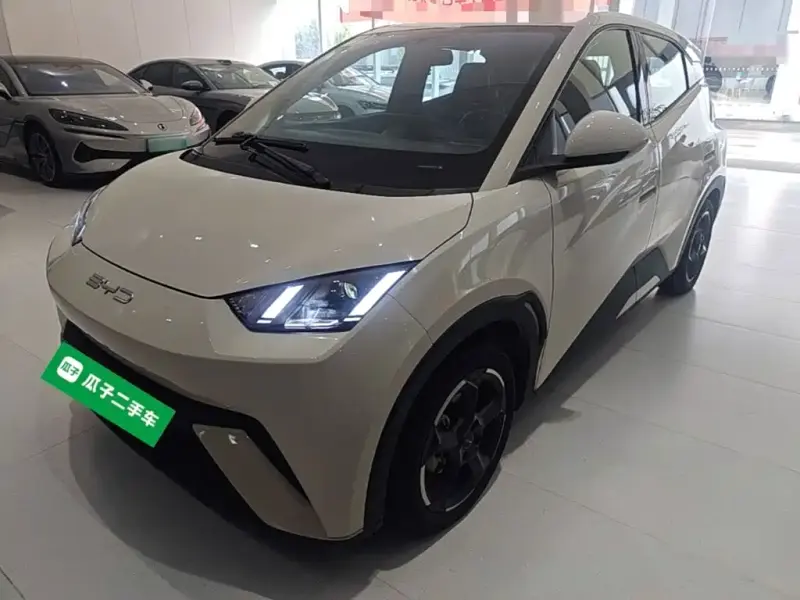BYD Seagull, 2024