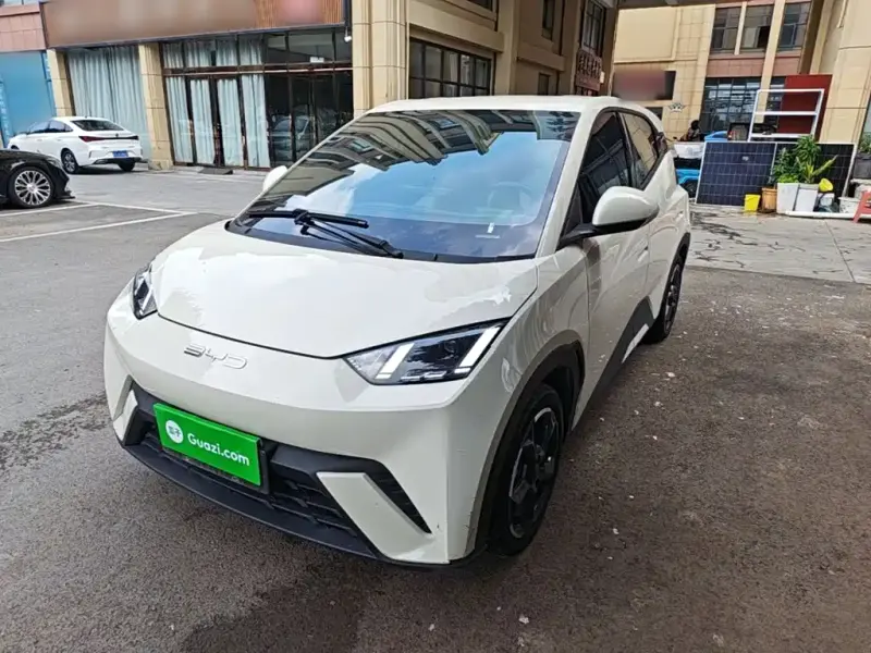 BYD Seagull, 2024