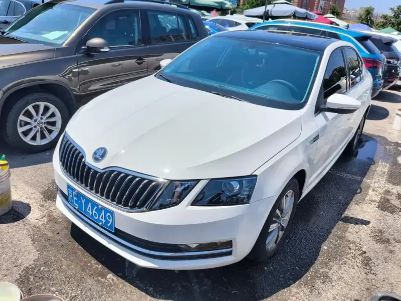 Skoda Octavia, 2020 — фото 1