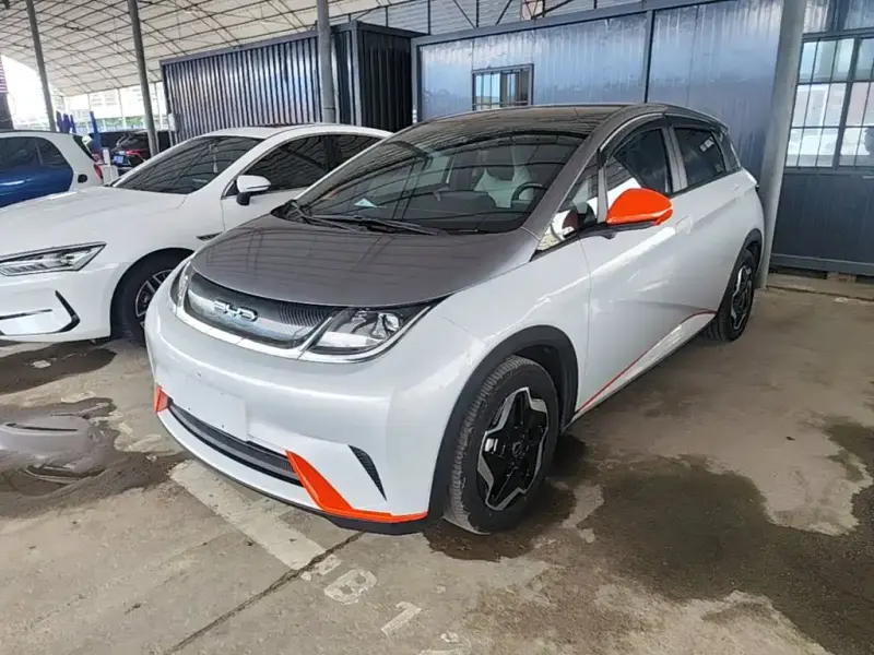 BYD Dolphin, 2021