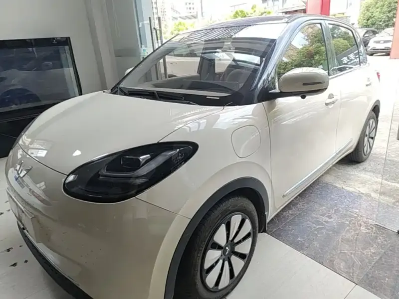 Wuling Bingo, 2025