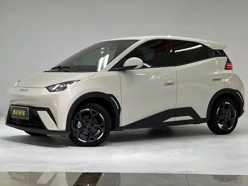 BYD Seagull, 2025