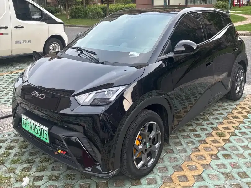 BYD Seagull, 2025