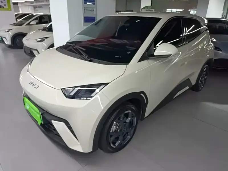 BYD Seagull, 2025