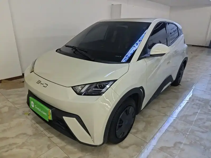 BYD Seagull, 2025