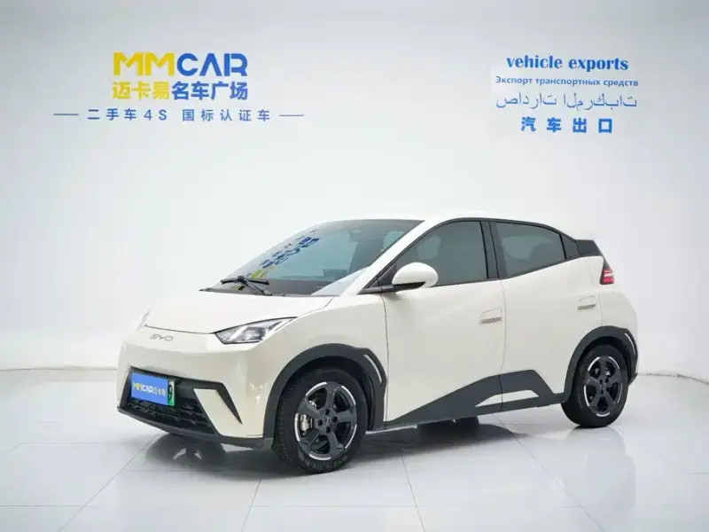 BYD Seagull, 2023