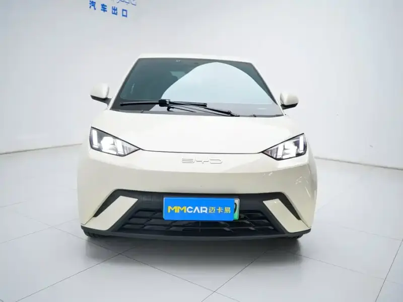 BYD Seagull, 2023