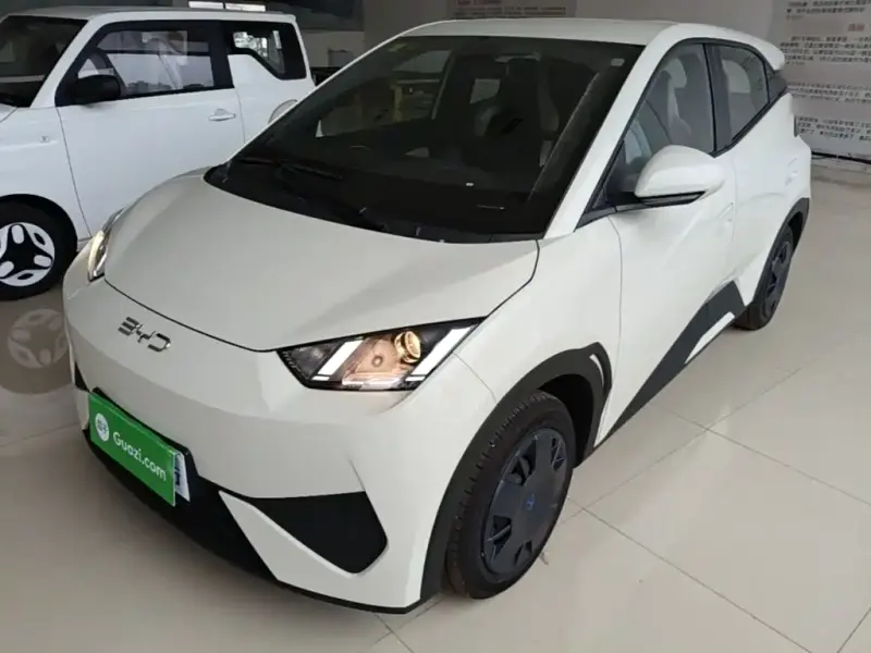 BYD Seagull, 2026