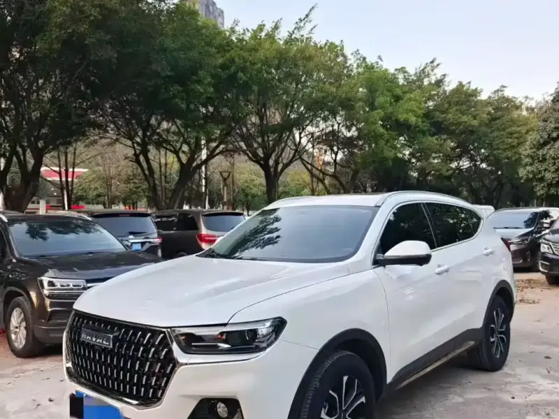 Haval H6, 2024