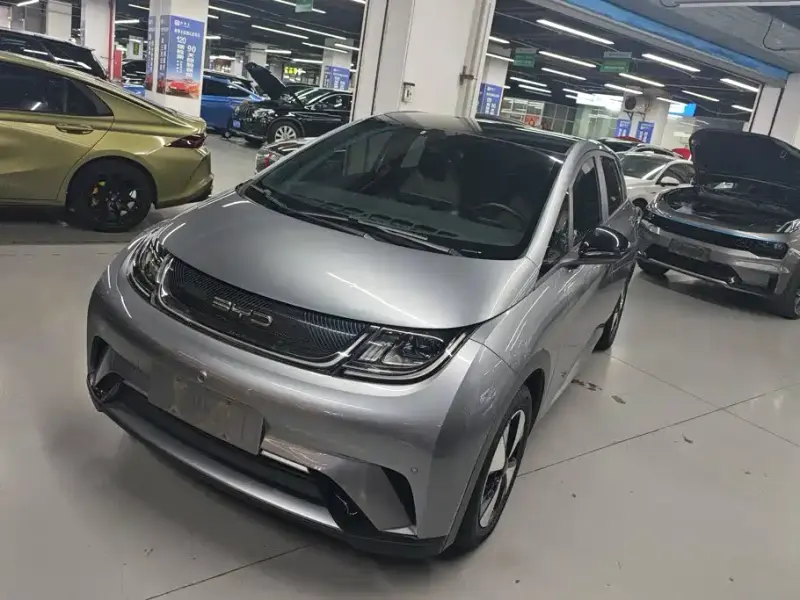 BYD Dolphin, 2023