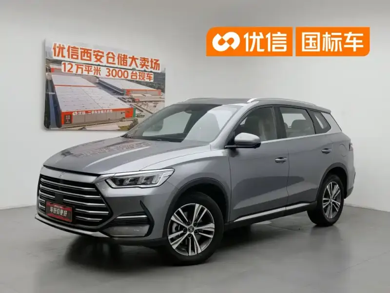 BYD Pro New Energy, 2023