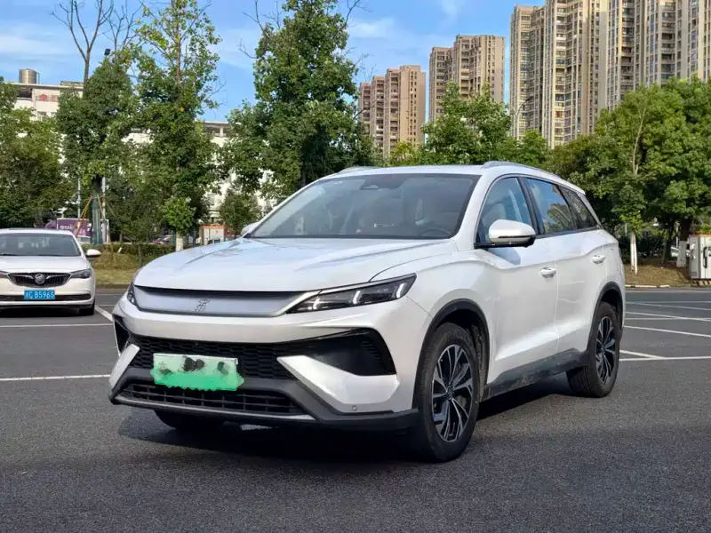 BYD Pro New Energy, 2024 — фото 1