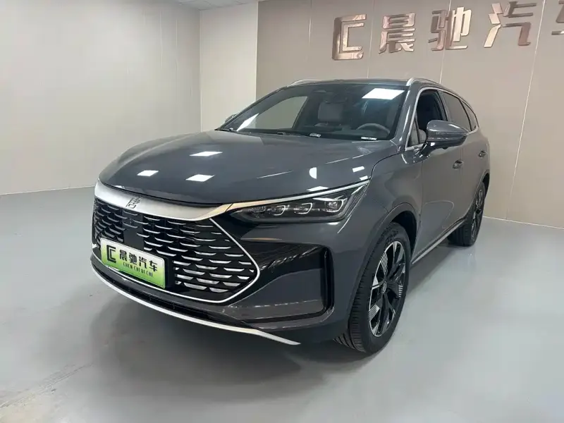 BYD Tang New Energy, 2024