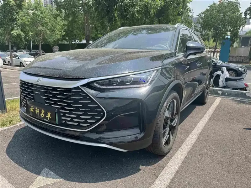 BYD Tang New Energy, 2024