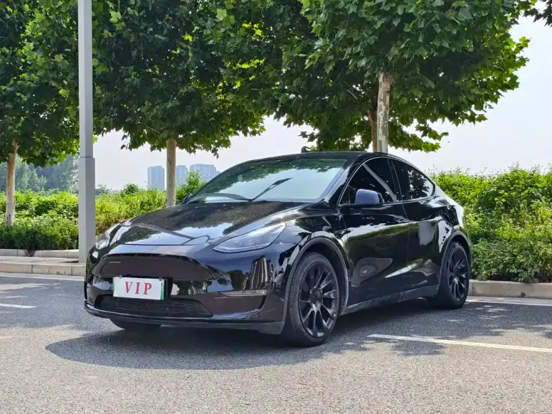 Tesla Model Y, 2021