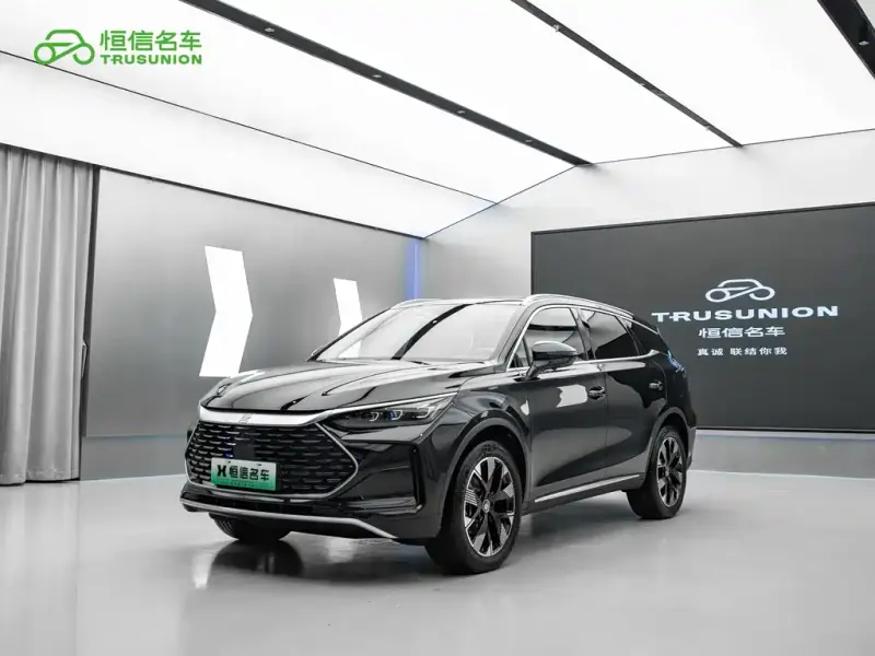 BYD Tang New Energy, 2024