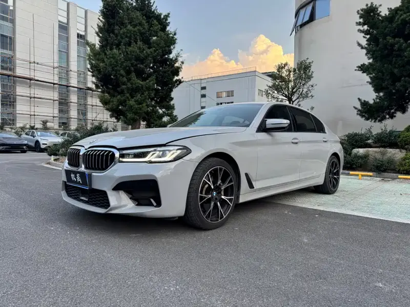 BMW 5 Series, 2020