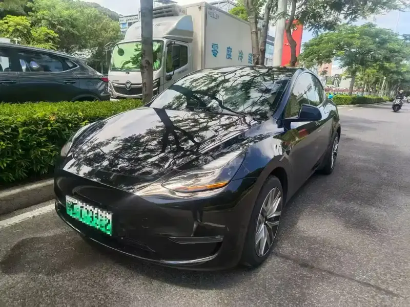 Tesla Model Y, 2021