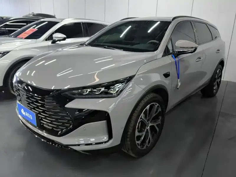 BYD Tang New Energy, 2026