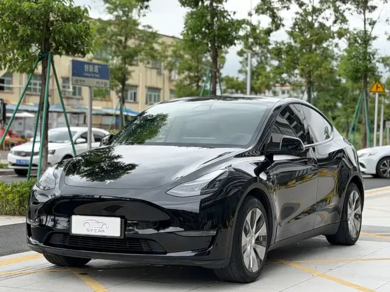 Tesla Model Y, 2021