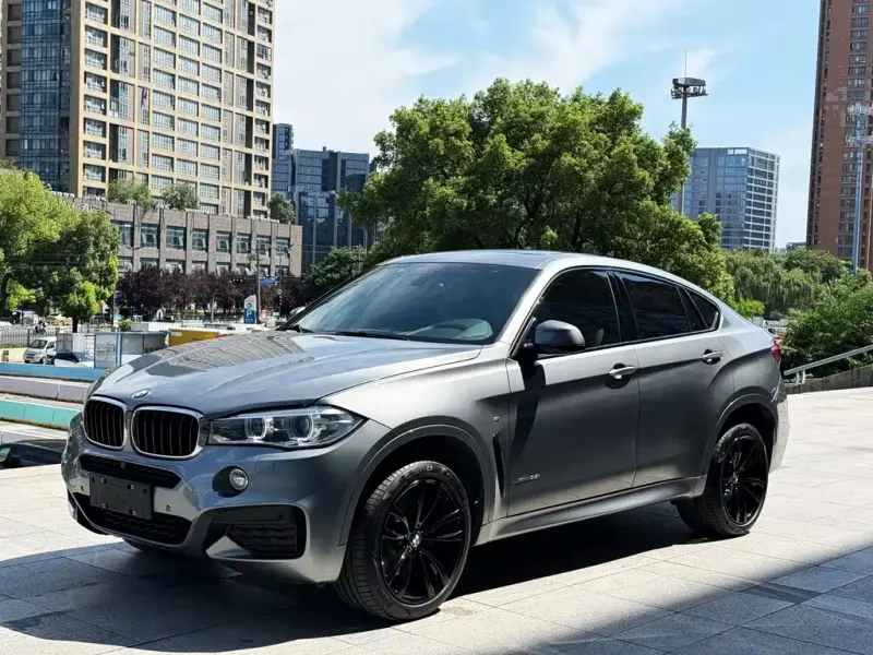 BMW X6, 2019