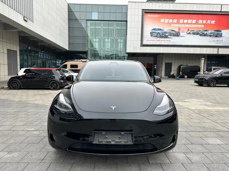 Tesla Model Y, 2024