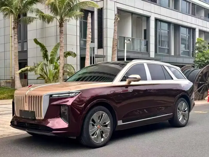 Hongqi E-HS9, 2021 — фото 1