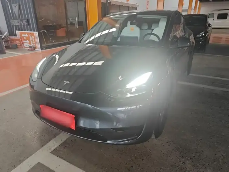 Tesla Model Y, 2024