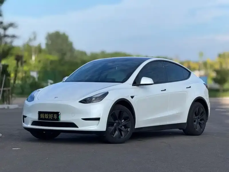 Tesla Model Y, 2024