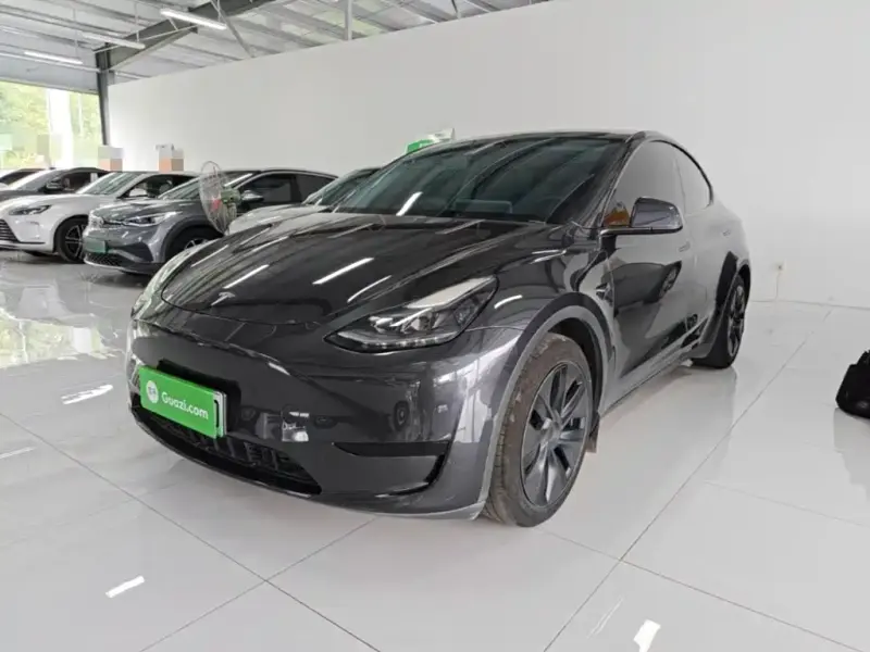 Tesla Model Y, 2024