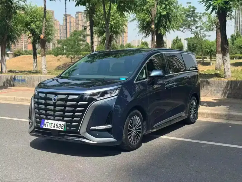 Denza D9, 2023