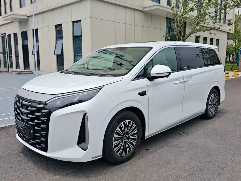 BYD Xia, 2025