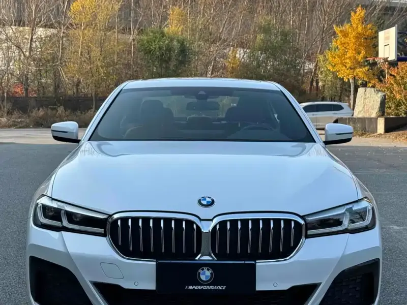 BMW 5 Series, 2020